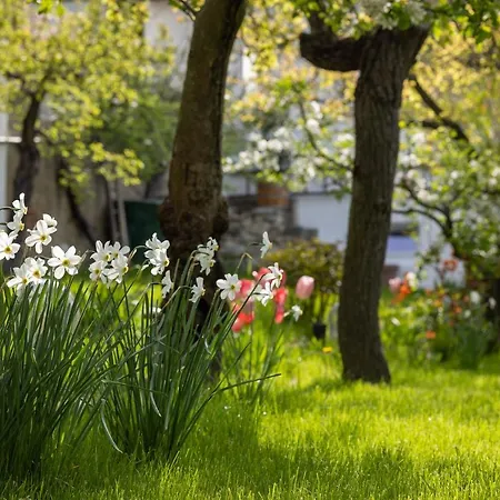 Σπίτι διακοπών Wachau *