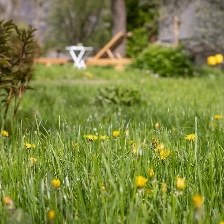 Wachau Holiday home