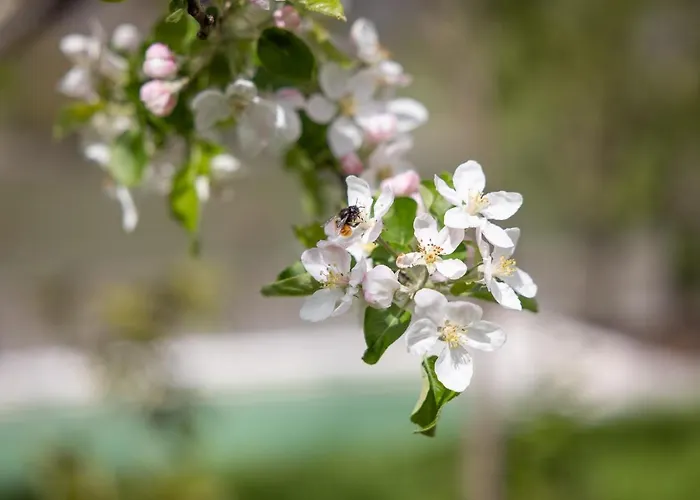 Wachau Сasa de vacaciones *